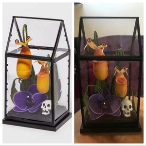 hyde and eek! terrarium 🖤